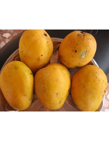 Mangos