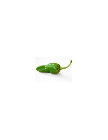 Pimiento Padron A Granel