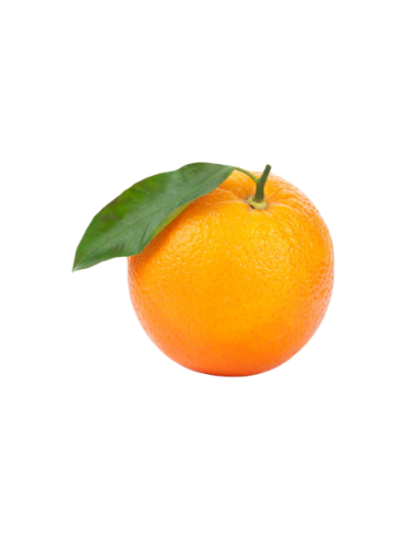 NARANJA LA AUTENTICA 6-7